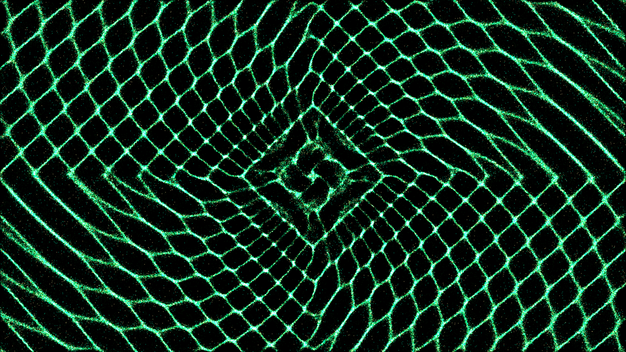 Milestone-Based Funding